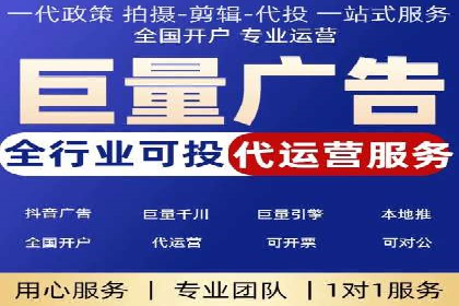 SEM代运营经典案例解析与启示